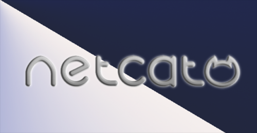 NetCat